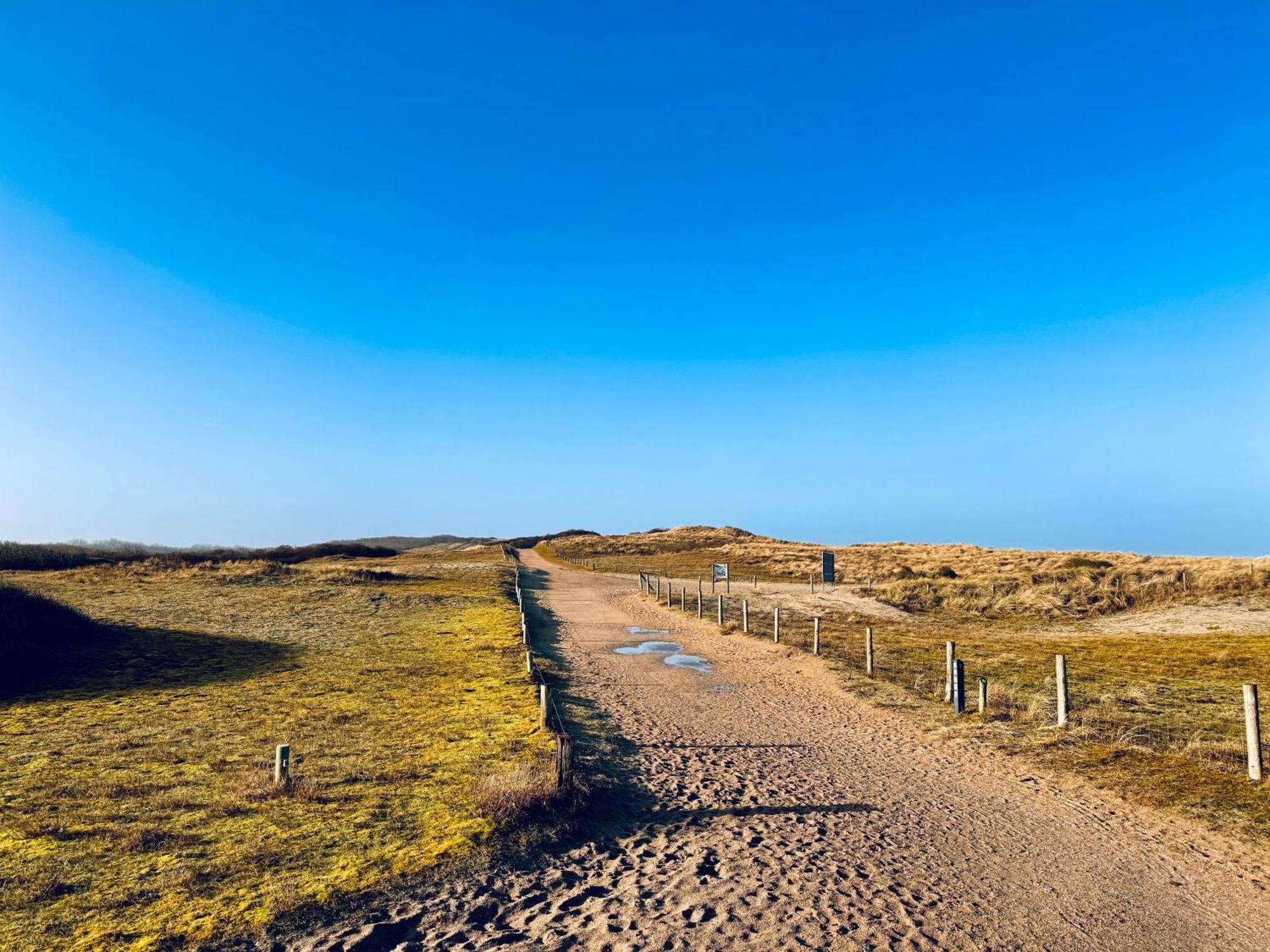 Beach&Forest Retreat -Domburg- Oostkapelle Exterior foto