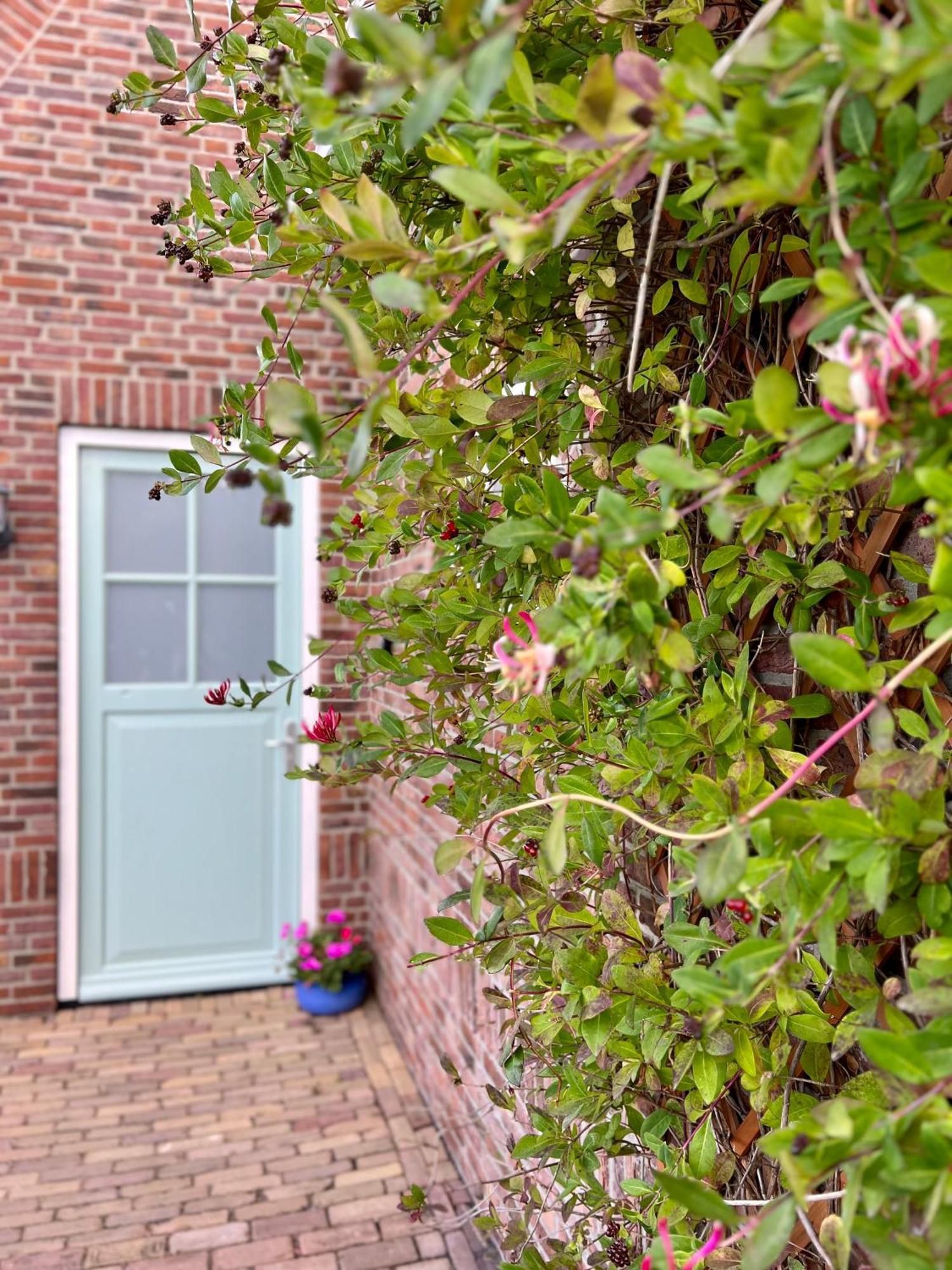 Beach&Forest Retreat -Domburg- Oostkapelle Exterior foto